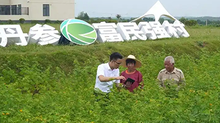全国中药材市场2026年春季行情观察